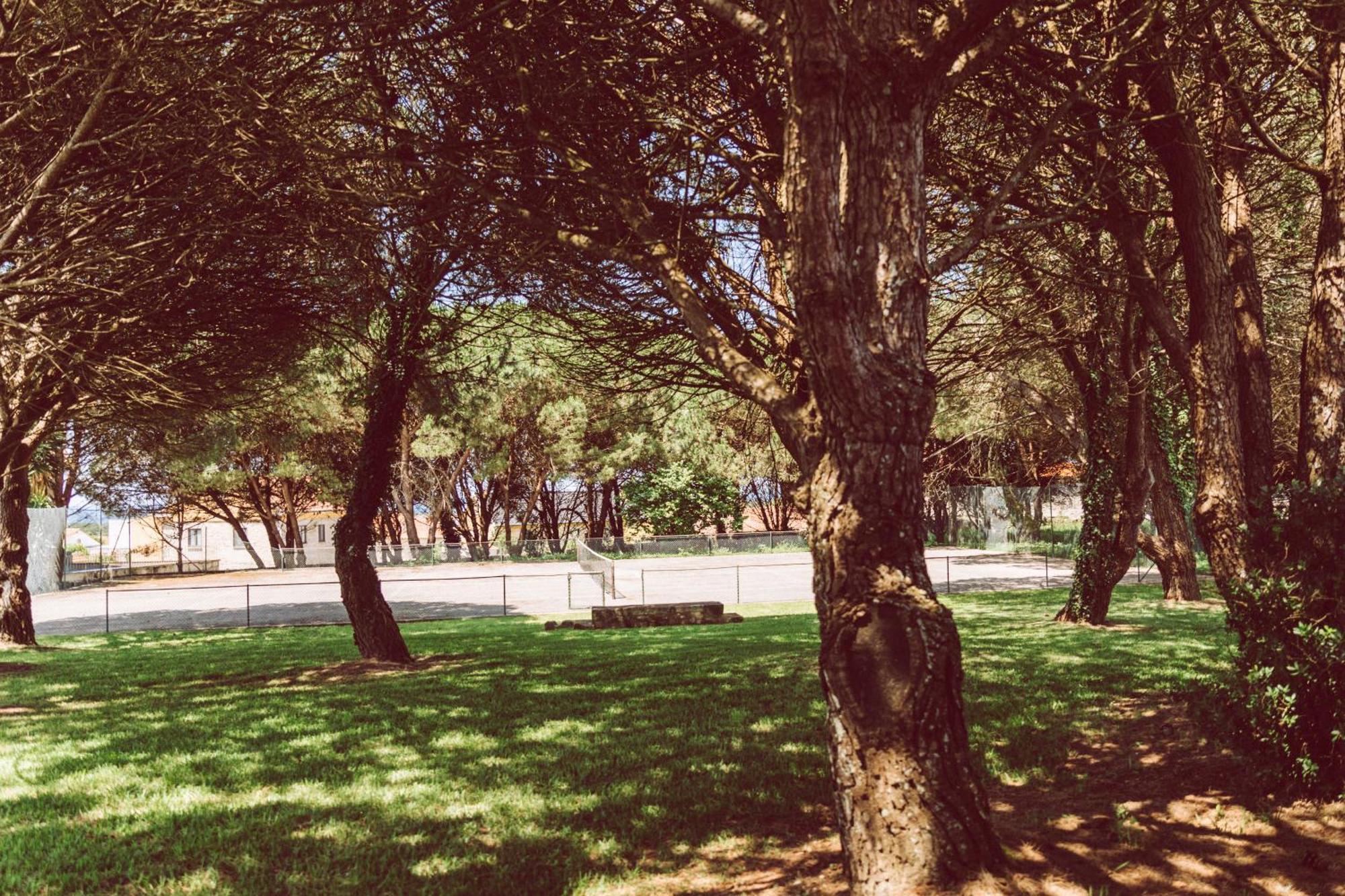 Quinta Do Monteverde Виана-ду-Каштелу Экстерьер фото